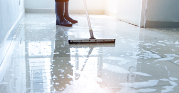 Squeegee