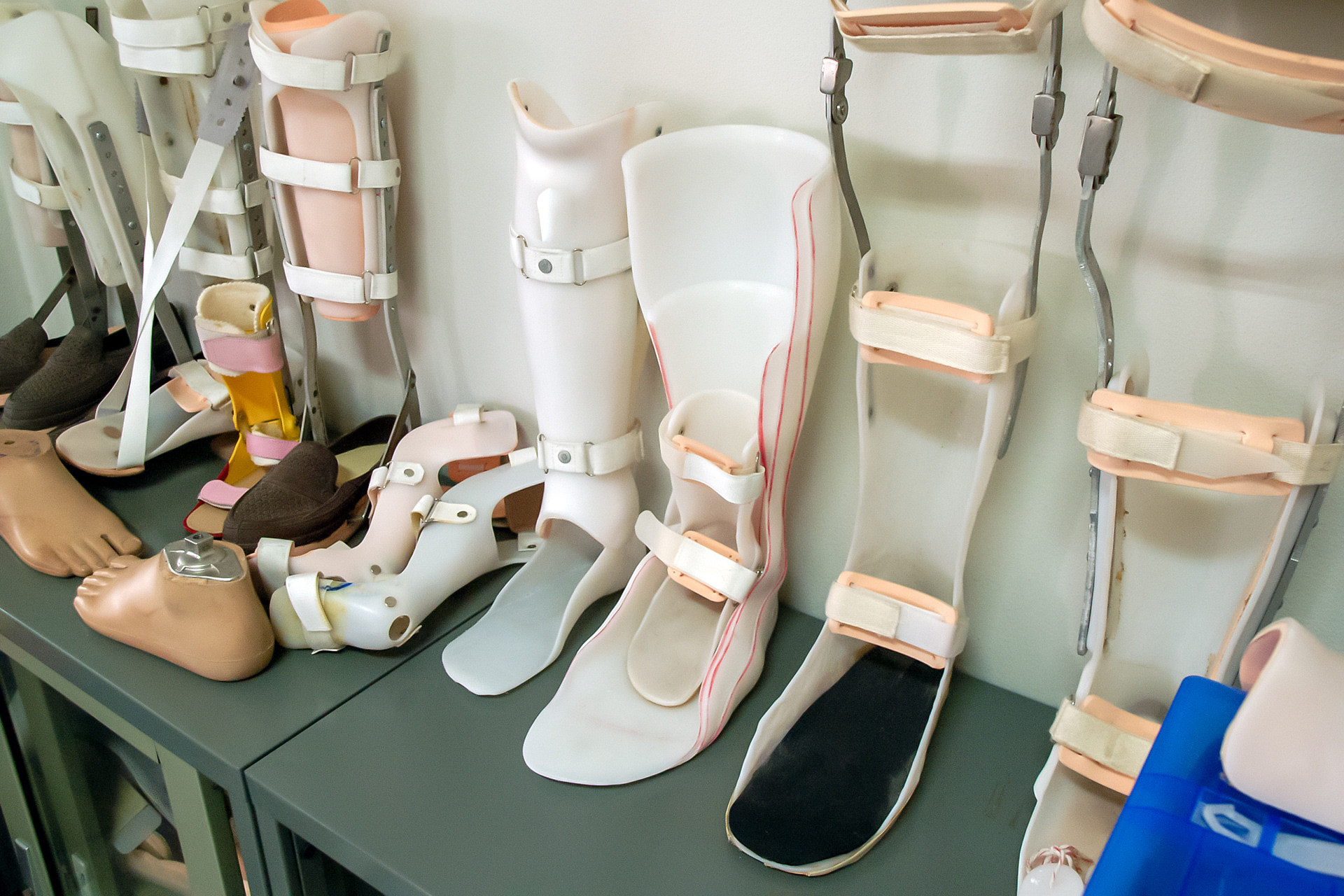 Orthopedics & Prosthetics}