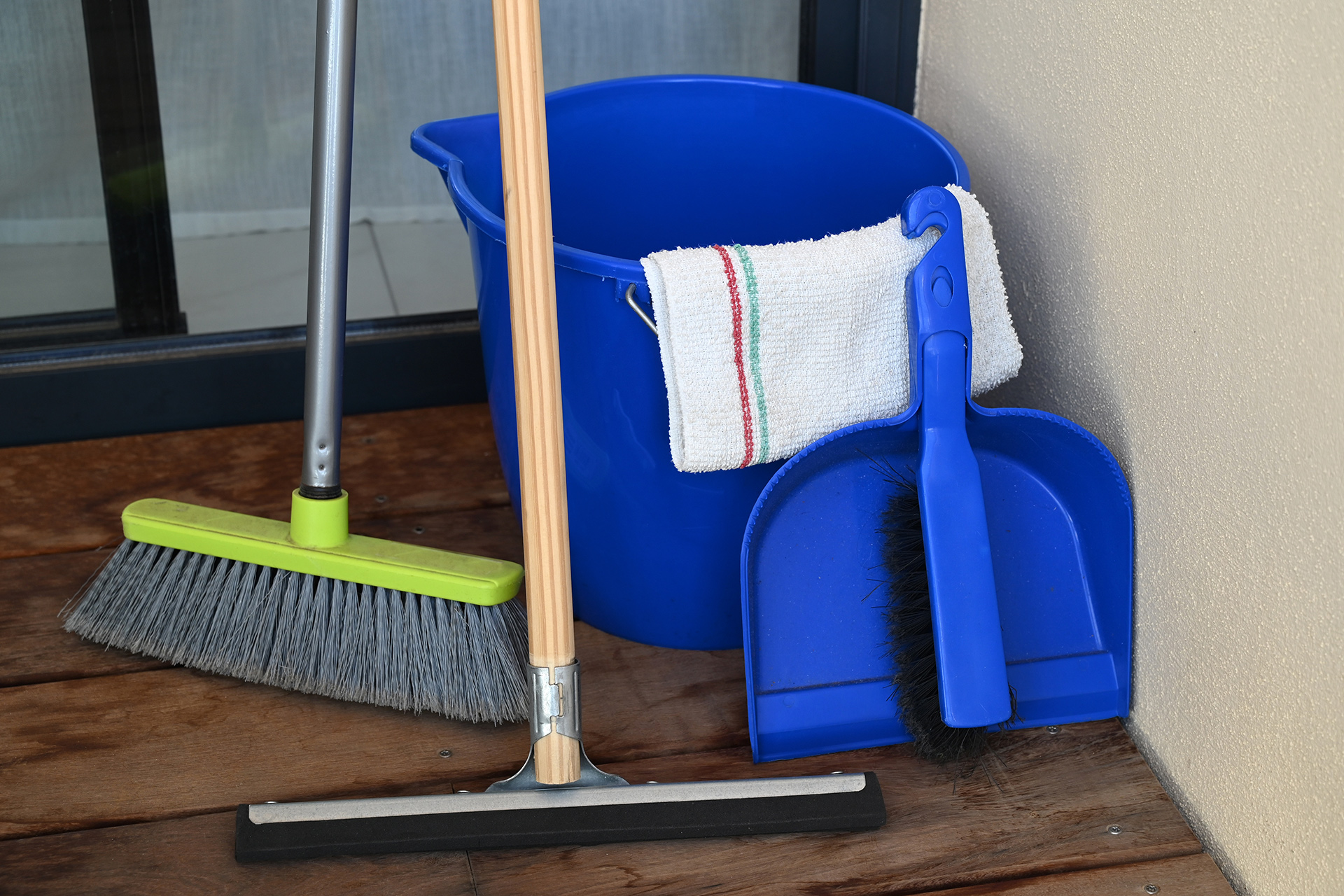 Squeegee}