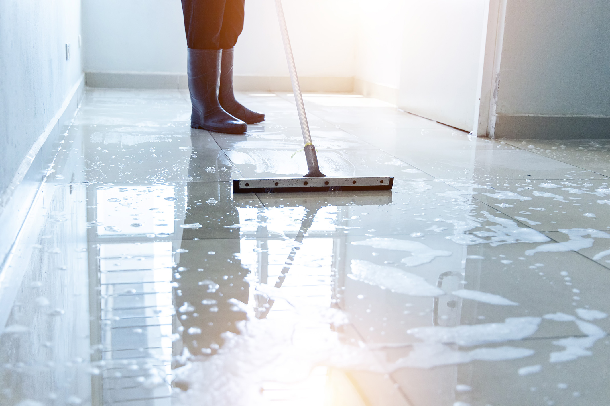 Squeegee