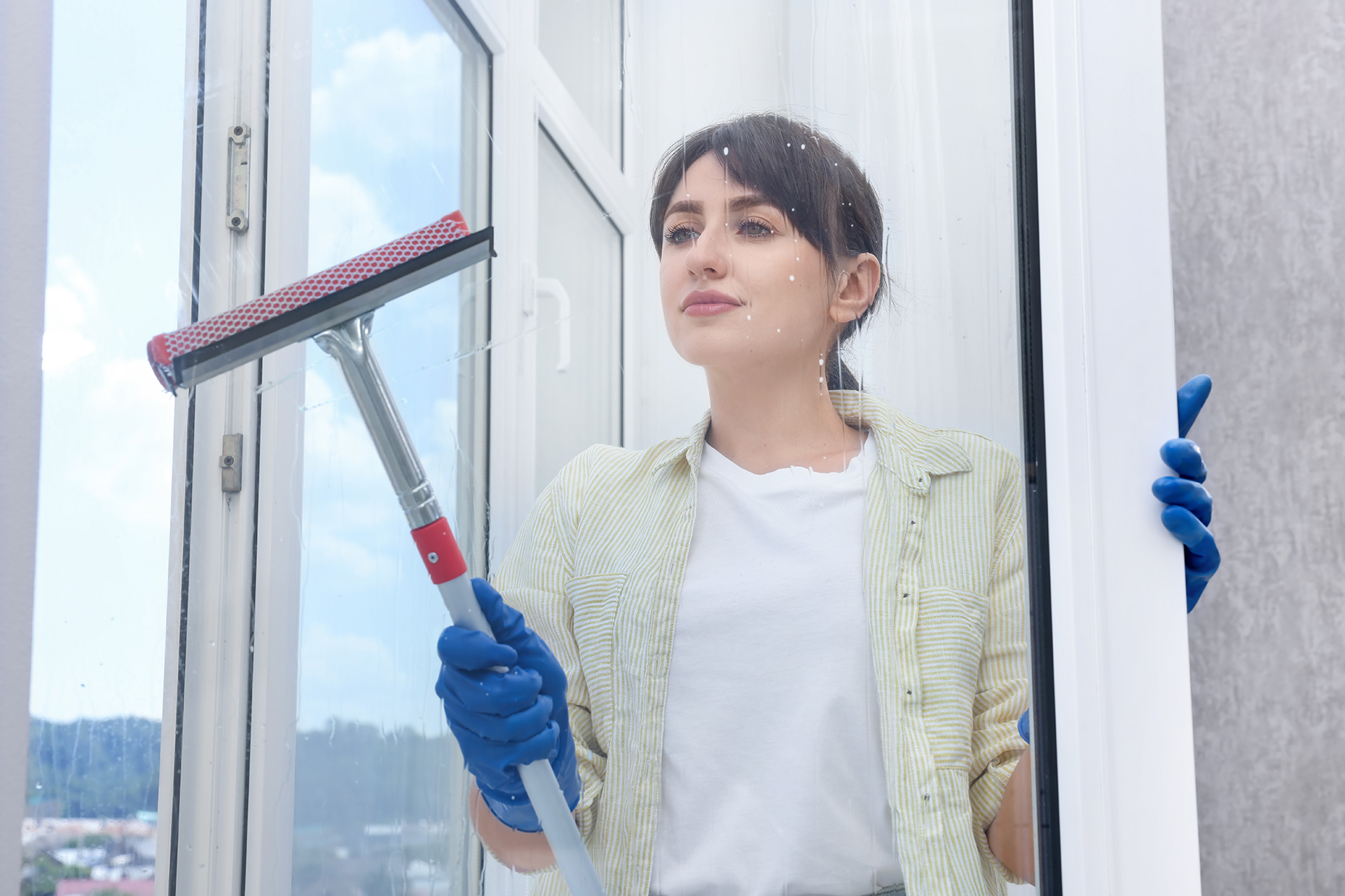 Squeegee}