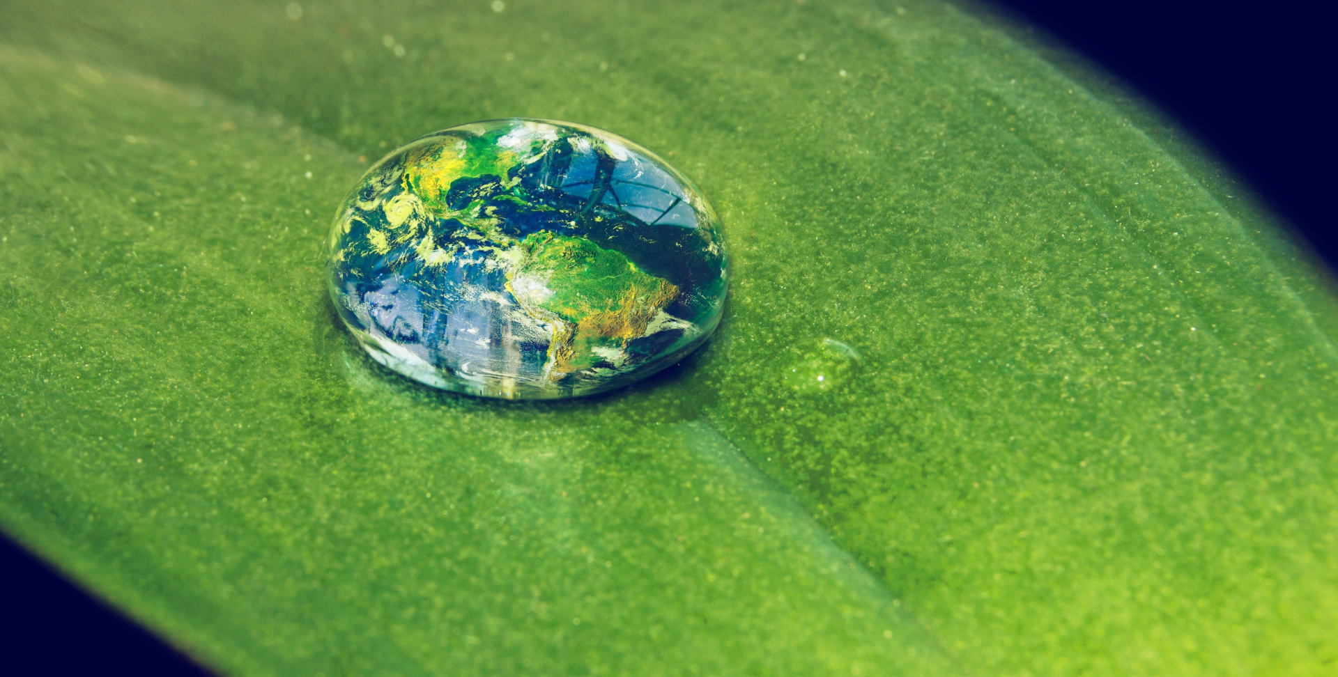 Sustainability